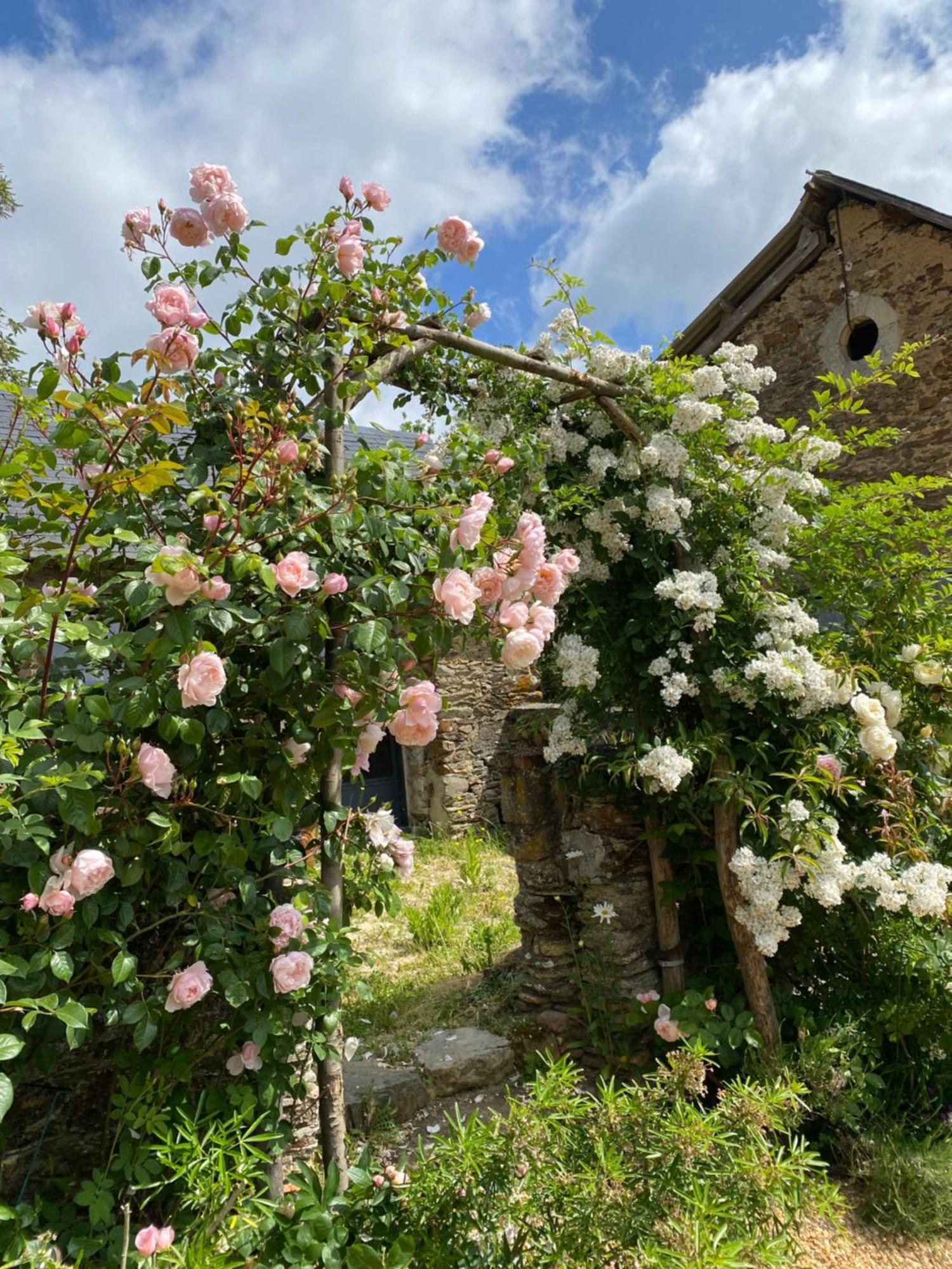 La Mouliniere, Jolie Longere Du Xviie Bed and Breakfast La Jaille-Yvon Eksteriør billede